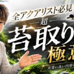 苔取り生体について熱く語ります！苔取りの極意！山田編