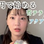 【初心者人必見🔍苔テラリウム＆アクアリウム】このサイズで満足感すごい＆注意点やおすすめも紹介！自由研究にもおすすめ