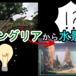ジャングリアからレイアウトの着想を！？１２０㎝水槽レイアウト開始！！