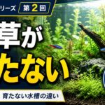 水草が育たない理由は”足す前”に読む｜水槽が育つシリーズ第２回