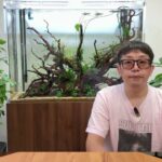 本日、公開するヤモリの動画について
