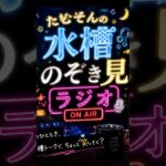 夜、水槽見てる人へ。