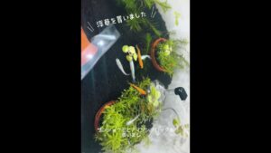 unnamed-file-23