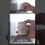 ソイルセット編🔰初心者向け完全解説