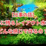【仕事の話】人の心に残るレイアウト水槽を作るには？