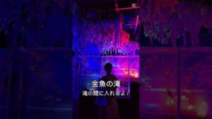 unnamed-file-42