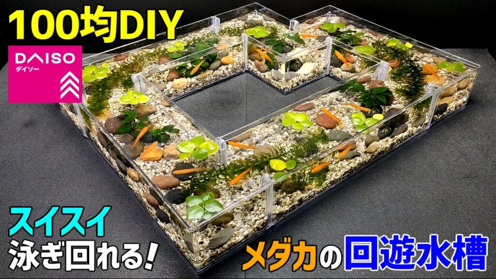 100DIY-DIY