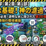 【初心者卒業】1章はただの基礎ですわ！アクアリウムの常識を覆す「神の濾過」へ挑む環境構築術。水の透明度を極限まで高め、魚の生命力を呼び覚ますプロの設計思想を徹底解明！【水の科学：第2章始動】