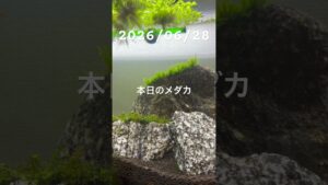 20260628-