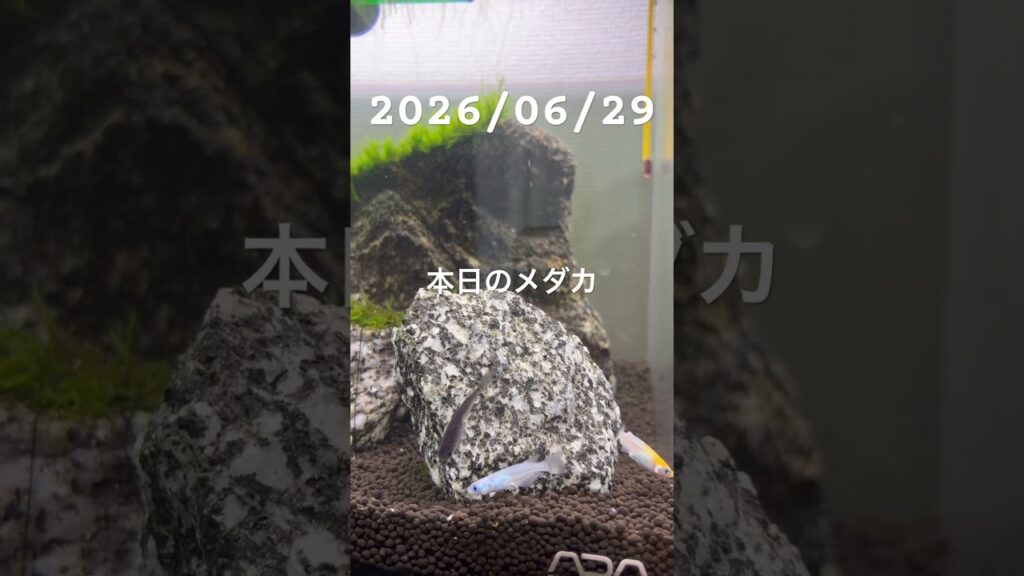 20260629-