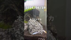 20260629-