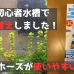 初心者アクアリウム水換えの様子【30cmキューブ水槽】#癒し
