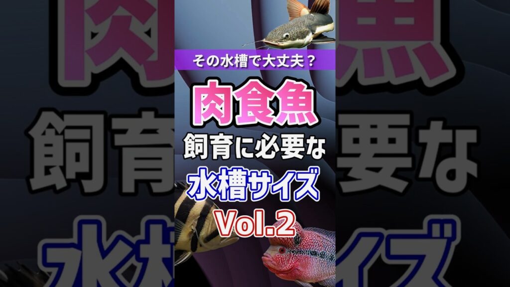 5-