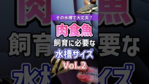 5-