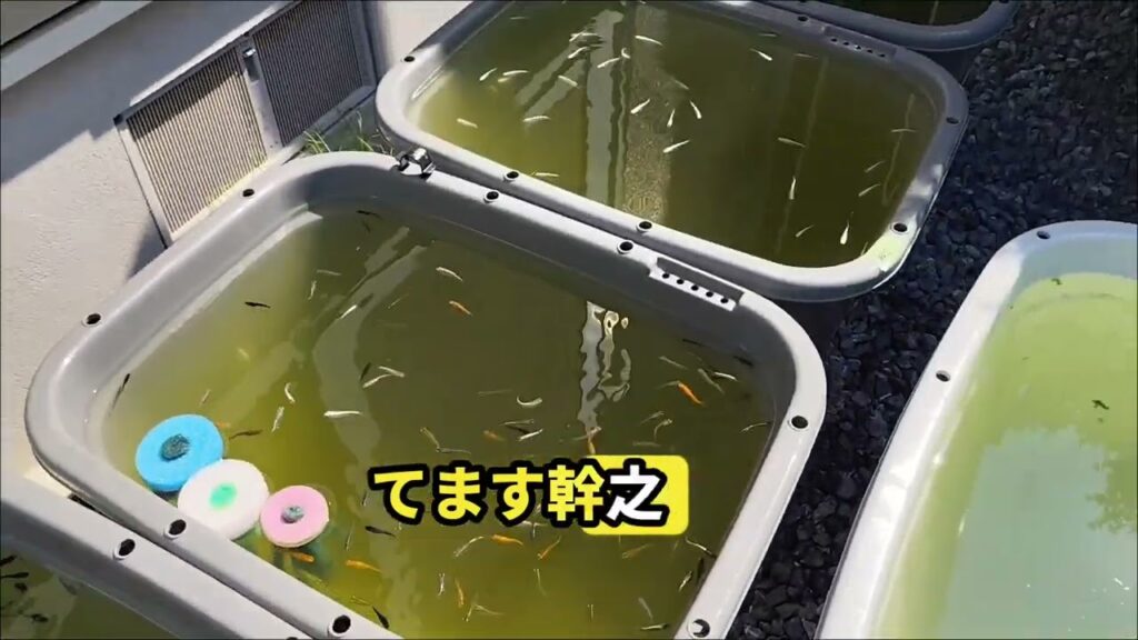6.17-