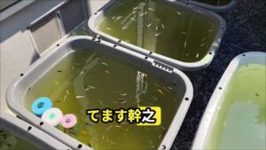 6.17-