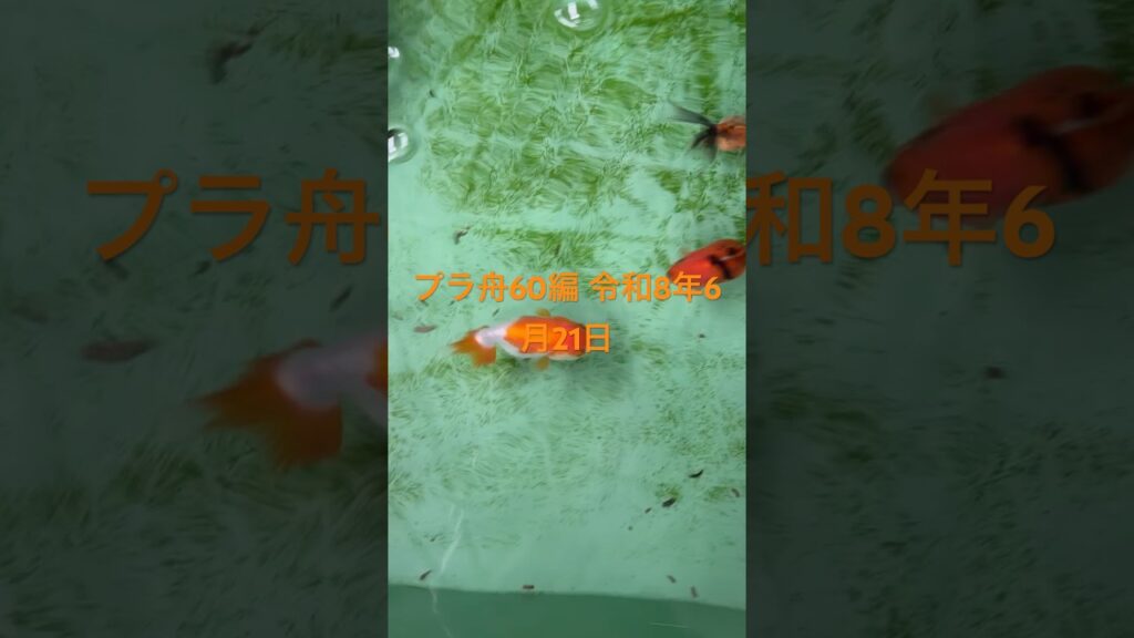 60-8621-