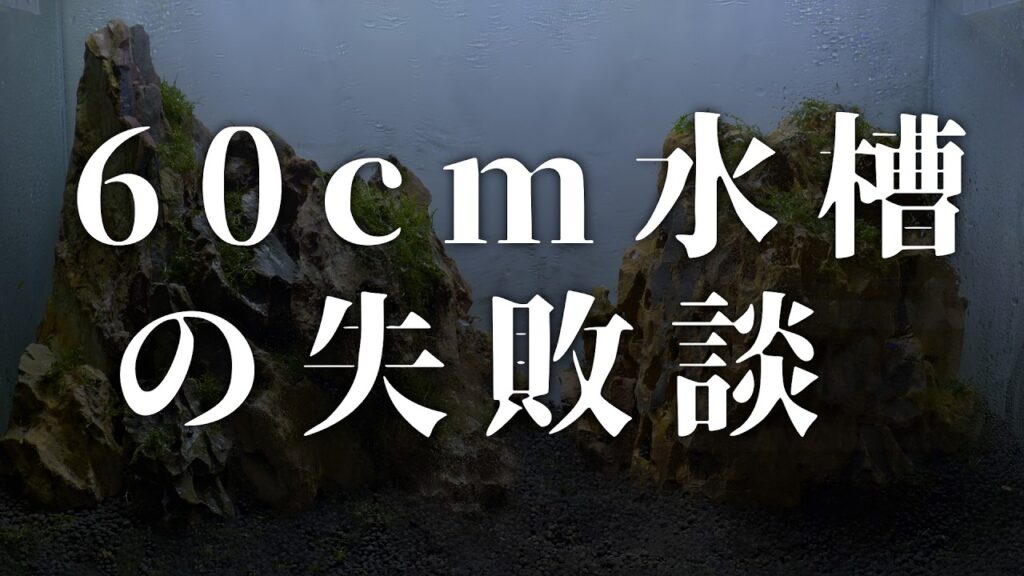 60cm-