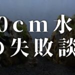 60cm水槽 [気孔石＆プレミアムモスの山岳レイアウト]の失敗談【アクアリウム雑談】
