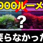 60cm水槽に”高ルーメン”は要らなかった【アクアリウム】水草レイアウト
