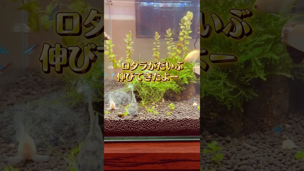 7-