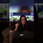 Aquascaping Substrate Secrets: Sand, Gravel, Soil Explained!