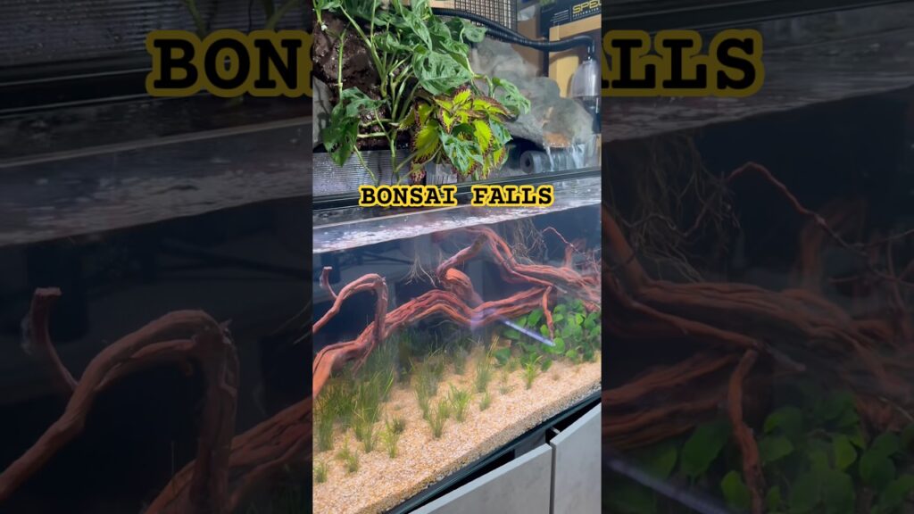 Bonsai-Falls-Aquascape-2-Waterfalls-Cascading-Mist-Tropical-Fish-Aquarium