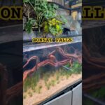 Bonsai Falls Aquascape: 2 Waterfalls Cascading Mist Tropical Fish Aquarium
