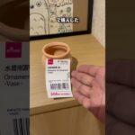 DAISOの水槽用置物買ってみた。