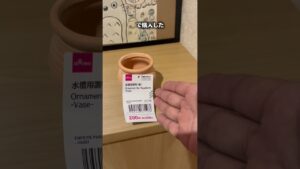 DAISO