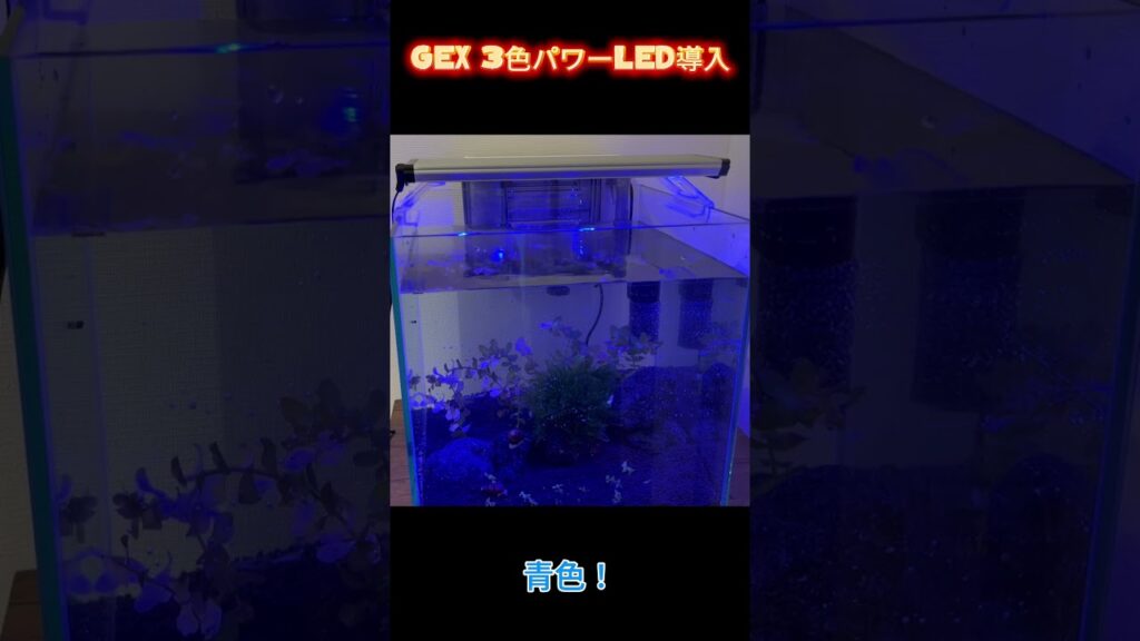 GEX3LED