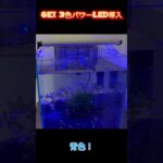 GEX3色パワーLED導入！色の切り替えが楽しい♪