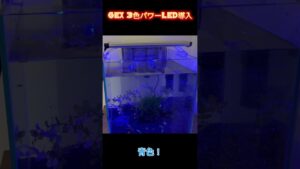 GEX3LED