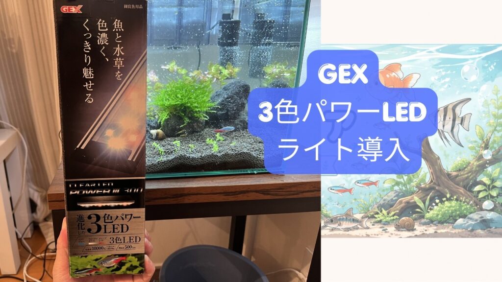 GEXLED