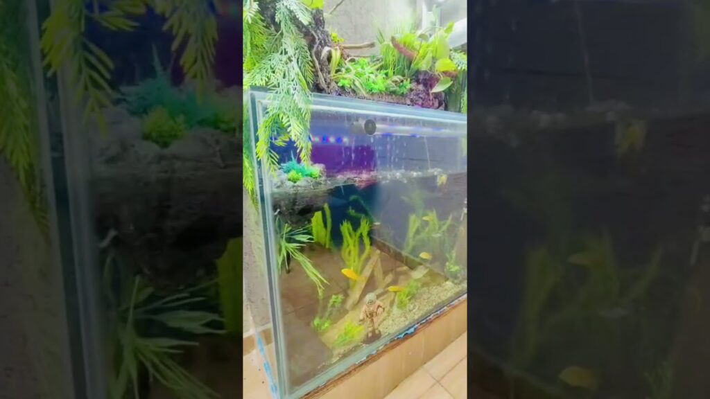 Instalacion-cascada-acuario-exterior-Outdoor-aquarium-waterfall-installation-