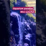 Mini waterfall at Aquarium paradise  #aquarium #aquariumparadise #bangalore #reels #miniwaterfall