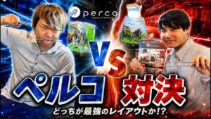 PERCOTV