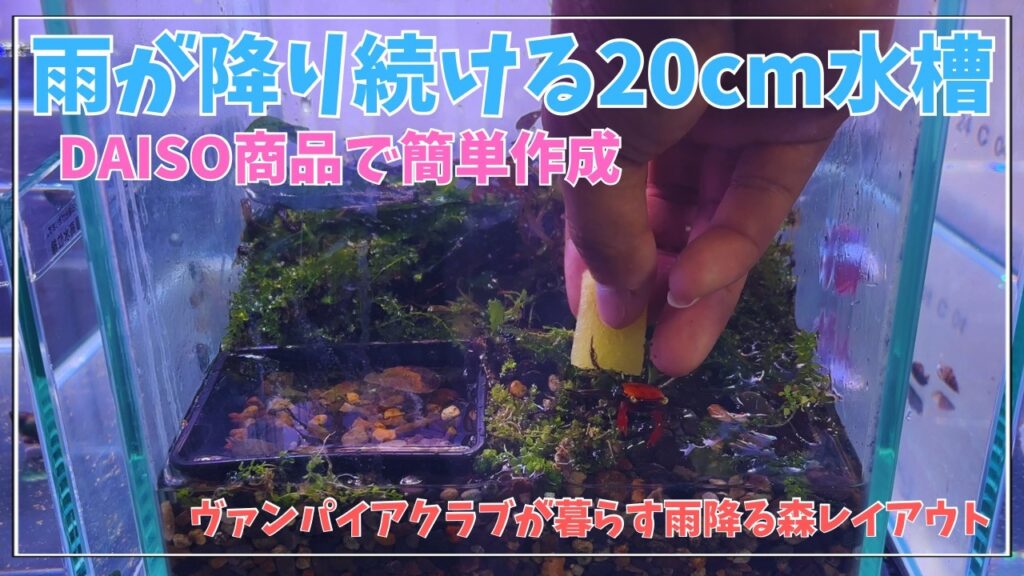 aquarium
