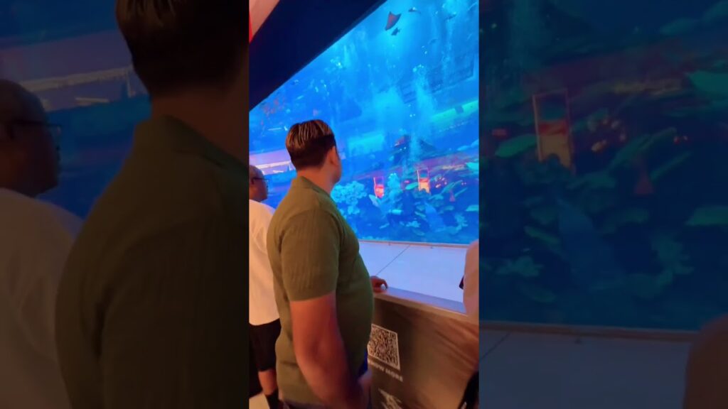 dubaimall-dubailife-dance-waterfall-aquarium