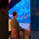 #dubaimall #dubailife #dance #waterfall #aquarium
