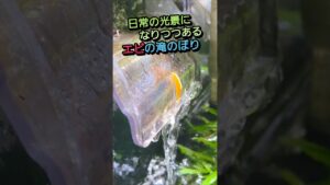 unnamed-file-1