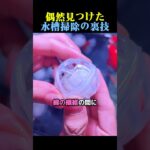 偶然見つけた水槽掃除の裏技🐠 #水槽 #観賞魚 #動物