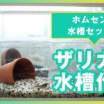 【水槽初心者セット】ホームセンターで購入した水槽セットでザリガニ水槽を作ってみた