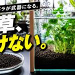 ボタニカルソイルで水槽を立ち上げる