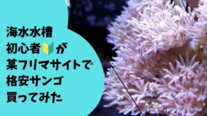 unnamed-file-3