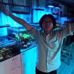 〜海水コーナー入荷情報編〜インドネシア大量入荷！