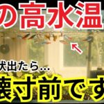 水槽の暑さ対策、冷却ファンより絶対これ使うべき