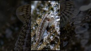 unnamed-file-38
