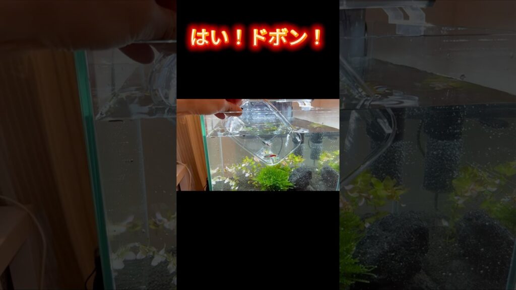 unnamed-file-6