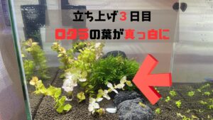 unnamed-file-8